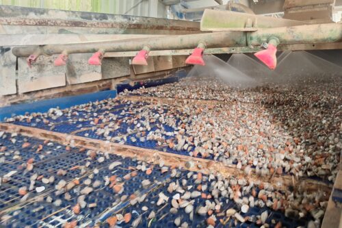 wet sieving of stones